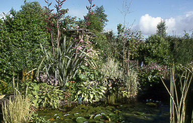 Water feature